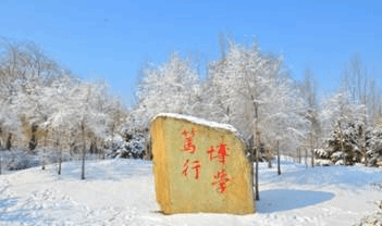 DSC_9924_看图王